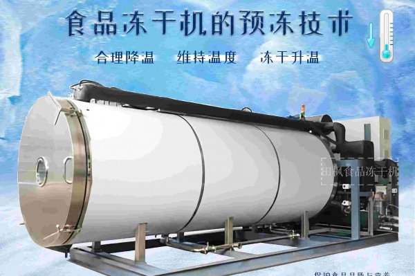 高效能凍干機如何應對不同產地的食品處理？
