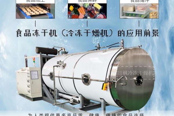 高效能凍干機如何應對不同類型的食品？