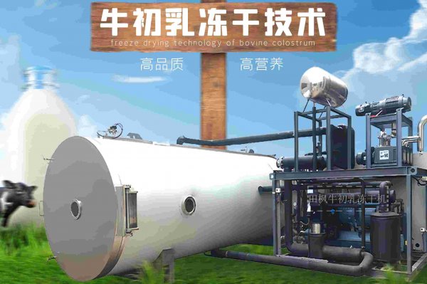 山東凍干機的冷凍速度是怎樣的？
