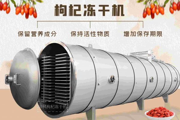 凍干工藝：枸杞營養(yǎng)價值的守護者