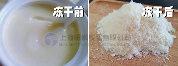 凍干牛初乳營養(yǎng)成分不流失