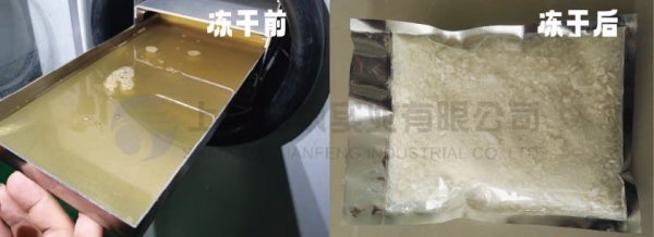 冷凍干燥技術(shù)在蜂蜜保鮮中的應(yīng)用