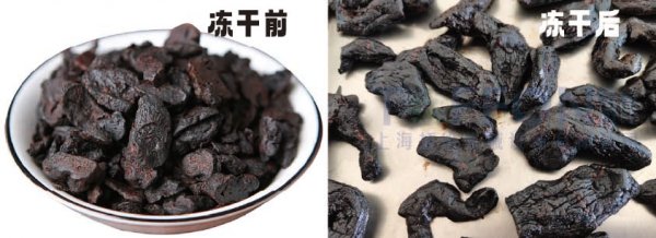 凍干機(jī)在黃精加工中的應(yīng)用探索