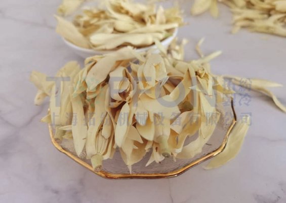 凍干保存白玉蘭香氣與活性成分的優(yōu)勢(shì)