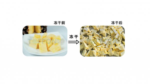 凍干機(jī)制作凍干菠蘿的優(yōu)勢(shì)解析