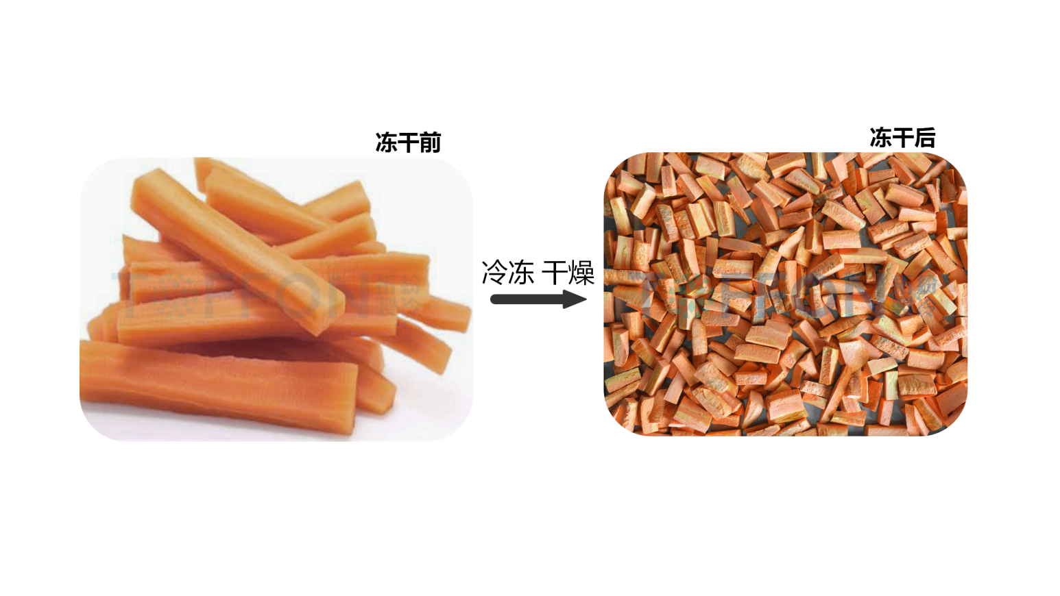 圖片 1.png