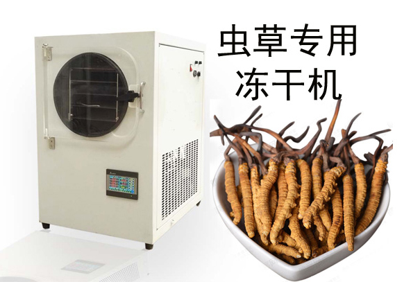 蟲草凍干機