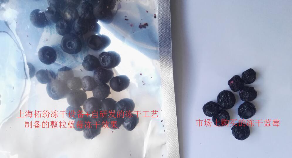 藍莓凍干