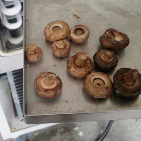 香菇凍干