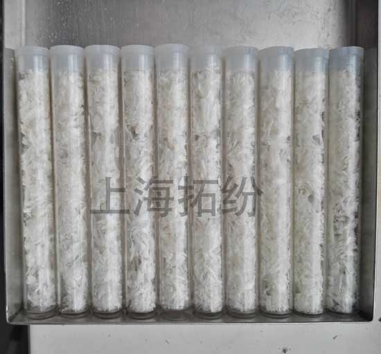 凍干燕窩